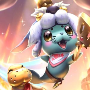 Teamfight tactics Coaching Session