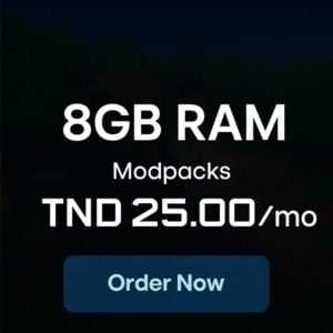 8GB RAM Gaming Server Rent - 1 Month