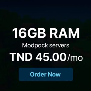 16GB RAM Gaming Server Rent - 1 Month