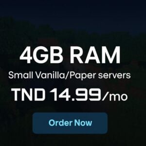 4GB RAM Gaming Server Rent - 1 Month