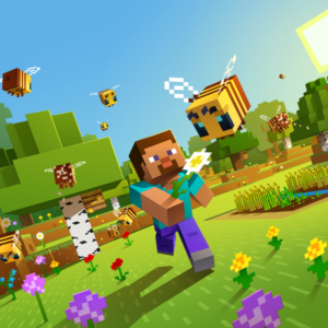 12GB RAM Minecraft Server Rent - 1 Month