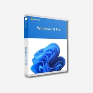 Windows 11 Professional / Clé d'activation