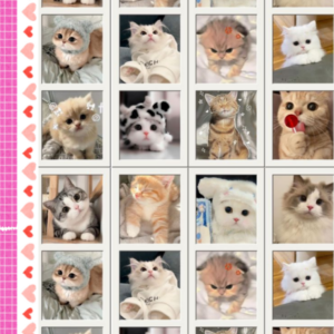 Printable Stickers
